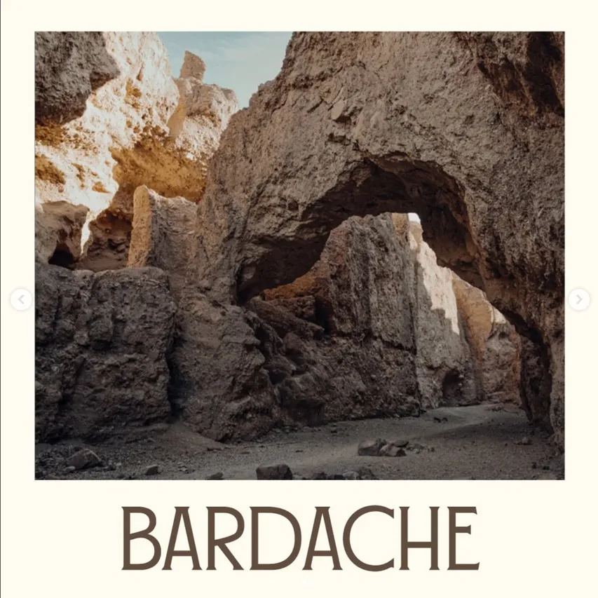 Bardache